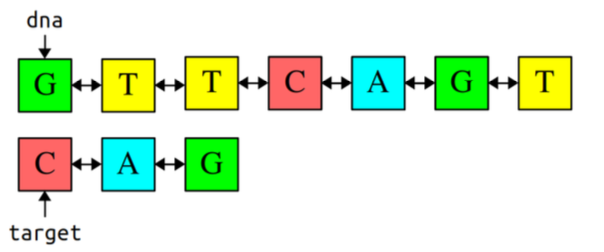 There are 2 strands of DNA. The pointer dna points to the first strand, which is as follows: GTTCAGT. The target pointer points to the second strand, which is: CAG.