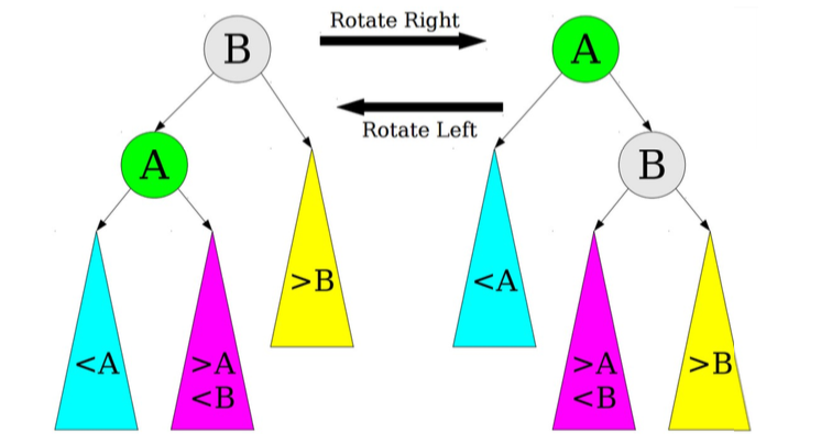 There are 2 trees. The following describes tree 1, which is labeled rotate left: The root node is B, with child node A one the left. Everything to the left of A is less than A, and everything to the right of A is greater than A and less than B. Everything to the right of B is greater than B. The following describes tree 2, which is labeled rotate right: The root node is A, with child node B one the right. Everything to the left of B is greater than A and less than B, and everything to the right of B is greater than B. Everything to the left of A is less than B. 