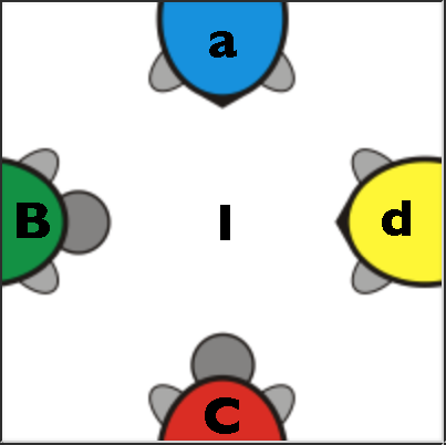 single turtle annotated 1