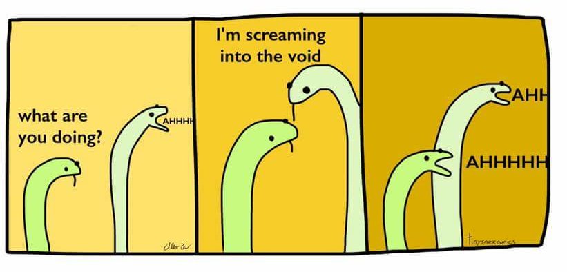 a 3-pane comic of two snakes. In the first pane, one snake is yelling 'AHHHH' while the other asks it 'what are you doing?'. In the second pane, the yelling snake responds 'I'm screaming into the void'. In the third pane, both snakes are yelling 'AHHHH'.