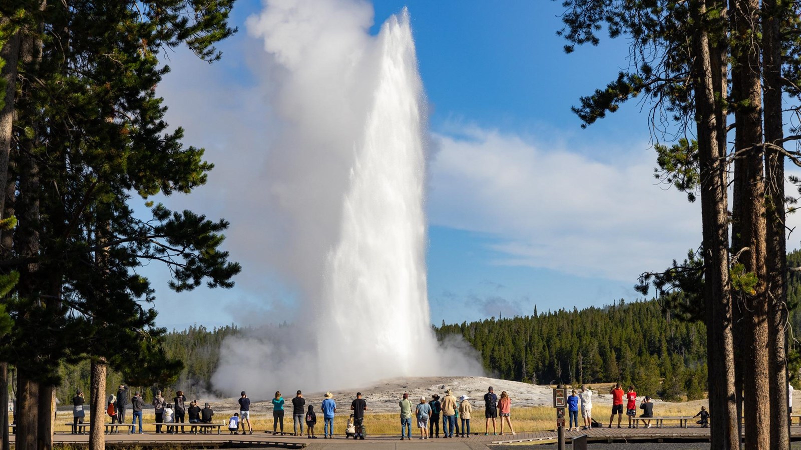 Visitors at Yellowstone National Park watching Old Faithful erupt