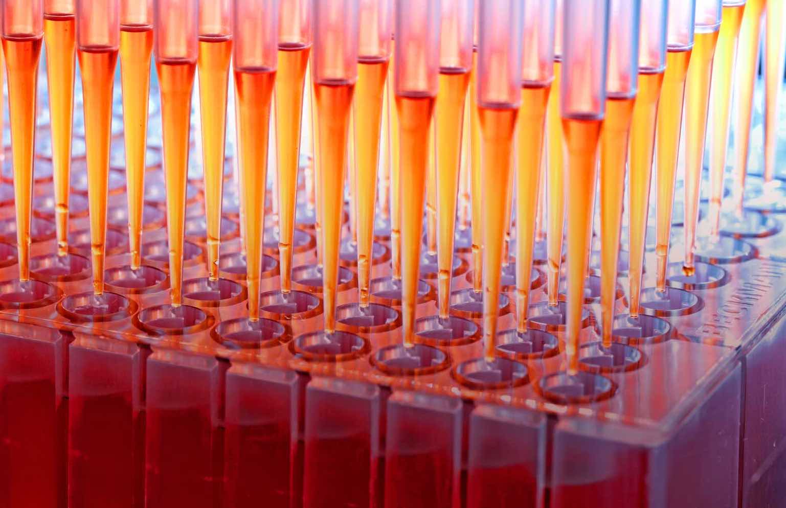 Biomolecule Testing Modern Statistics for Modern Biology - 6 Testing