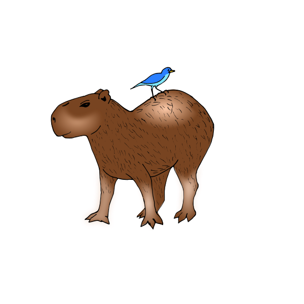 capybara_pic