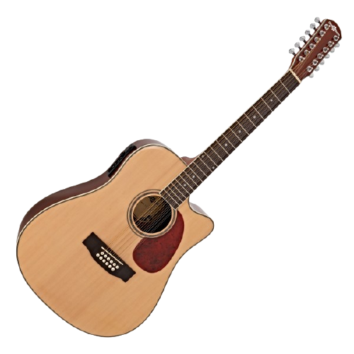 acoustic guitar