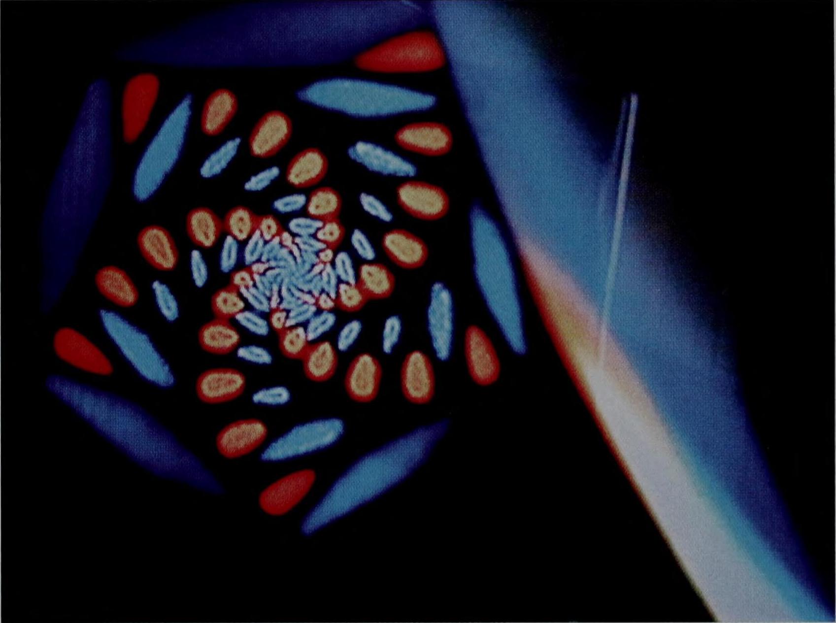 Douglas Hofstadter, *I Am a Strange Loop*, 2007