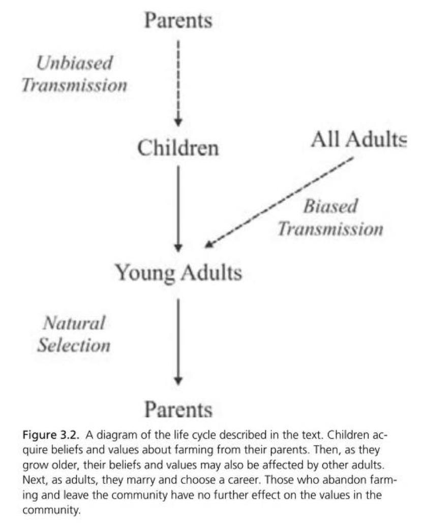 Children acquire beliefs and values about farming from their parents. Then, as they grow older, their beliefs and values may also be affected by other adults. Next, as adults, they marry and choose a career. Those who abandon farming and leave the community have no further effect on the values in the community.