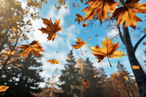 Falling leaves