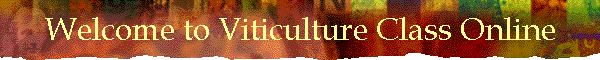 Welcome to Viticulture Class Online