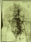 femaleanatomy.gif (318794 bytes)