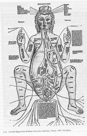 The History of the Female Reproductive System