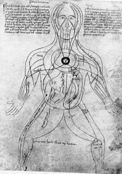 History of the Arteries and Veins