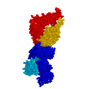 rotateTCRMHC.gif (229493 bytes)