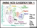 Amino_Acid_Classification_1