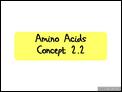 Amino_Acids._Concept_2.2