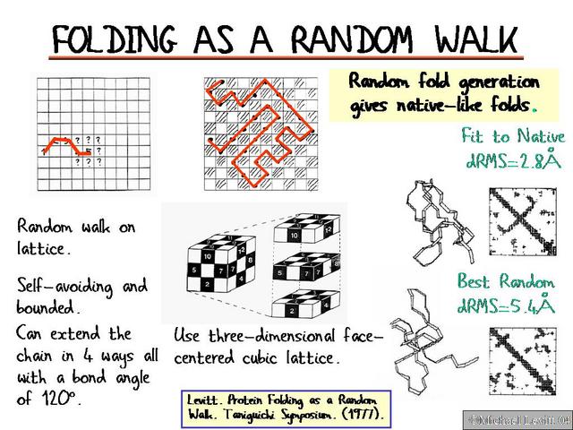 Folding_as_a_Random_Walk