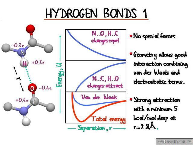 Hydrogen_Bonds_1