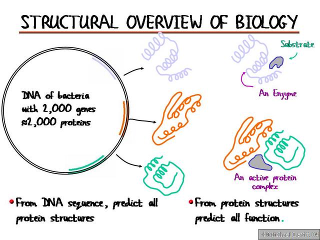 Structural_Overview_of_Biology