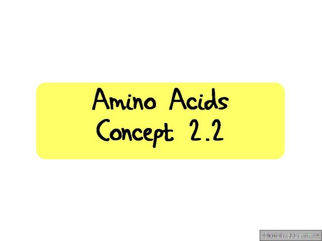 Amino_Acids._Concept_2.2