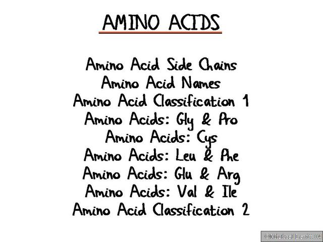 Amino_Acids
