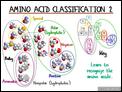 Amino_Acid_Classification_2