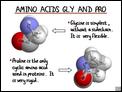 Amino_Acids_Gly_and_Pro