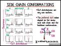 Side_Chain_Conformations