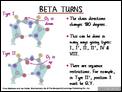 Beta_Turns