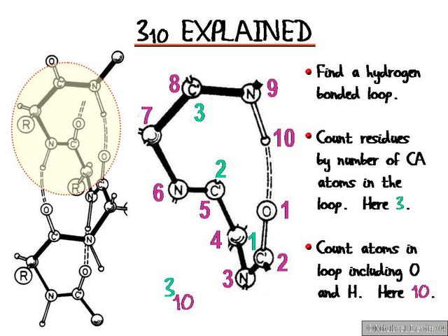 310_Explained