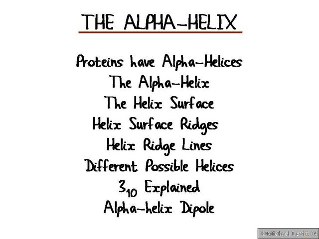 The_Alpha-Helix