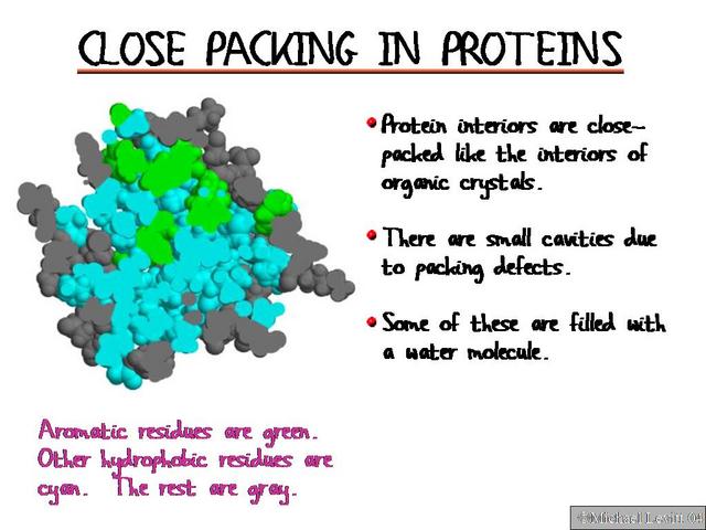 Close_Packing_in_Proteins