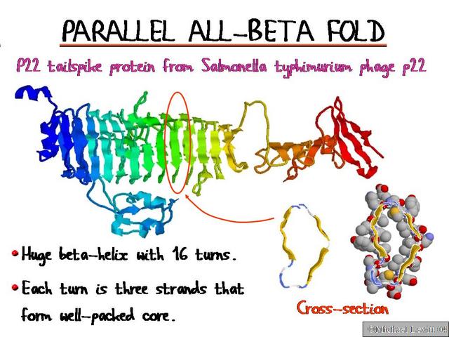 Parallel_All-Beta_Fold