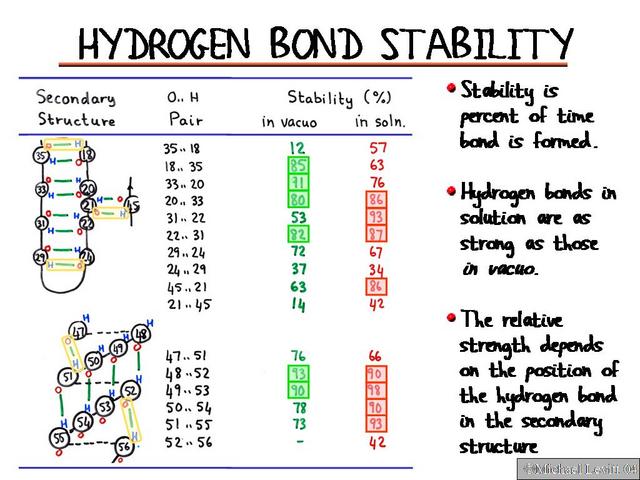 Hydrogen_Bond_Stability