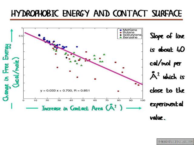 Hydrophobic_Energy_and_Contact_Surface