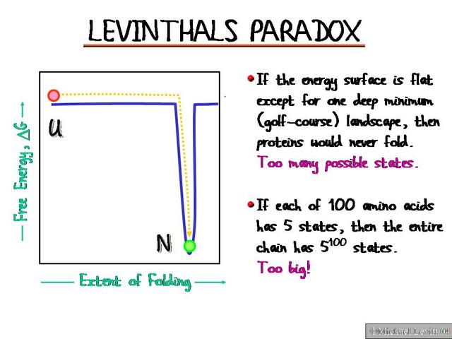 Levinthals_Paradox