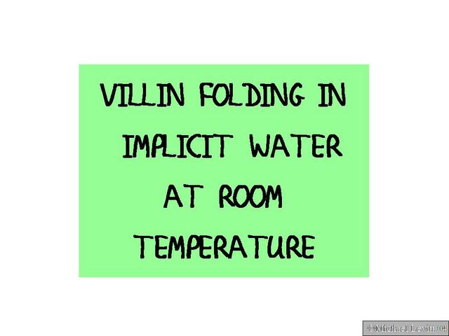 Pande_Villin_Folding_Movie