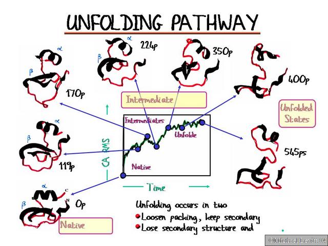 Unfolding_Pathway
