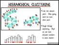 Hierarchical Clustering