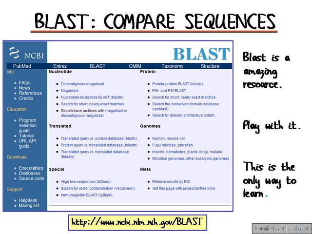Blast_Compare_Sequences