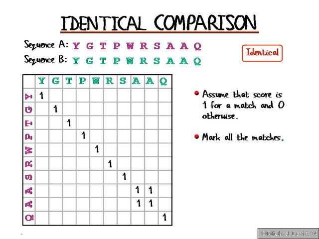 Identical_Comparison