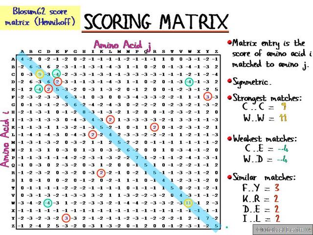 scoring-matrix