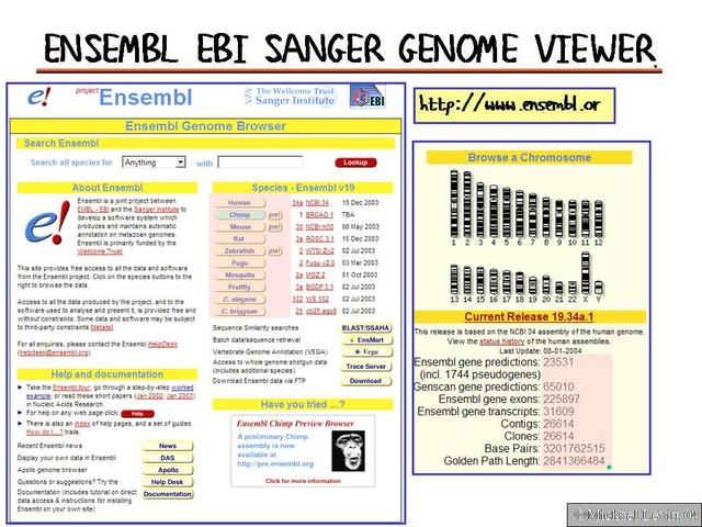 Ensembl_EBI_Sanger_Genome_Viewer1
