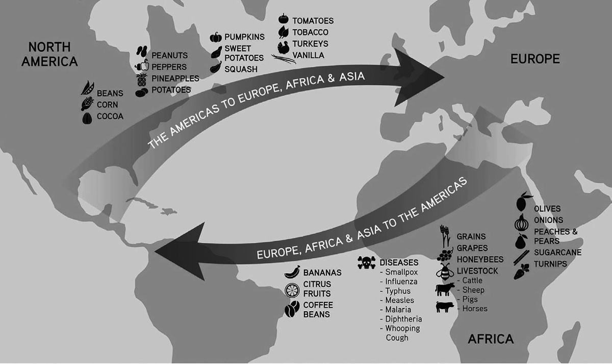 This graphic depicts several of the most influential nonhuman aspects of the Columbian Exchange between the Americas, Europe, Africa, and Asia after 1492. Arrows show the directions of exchanges: From Europe to the Americas: cattle, horses, pigs, wheat, rye (brown arrow); smallpox and syphilis (yellow arrow). From the Americas to Europe: maize, potatoes, tobacco, beans, squash, peppers, cacao (blue arrow). From Africa to the Americas: malaria and yellow fever (yellow arrow); sugar and rice (brown arrow). From South America to Africa: cassava, manioc, cacao (blue arrow). From Asia to Europe and the Americas: sugar, rice, tea (brown arrow). From Europe to Africa: plague (yellow arrow).
