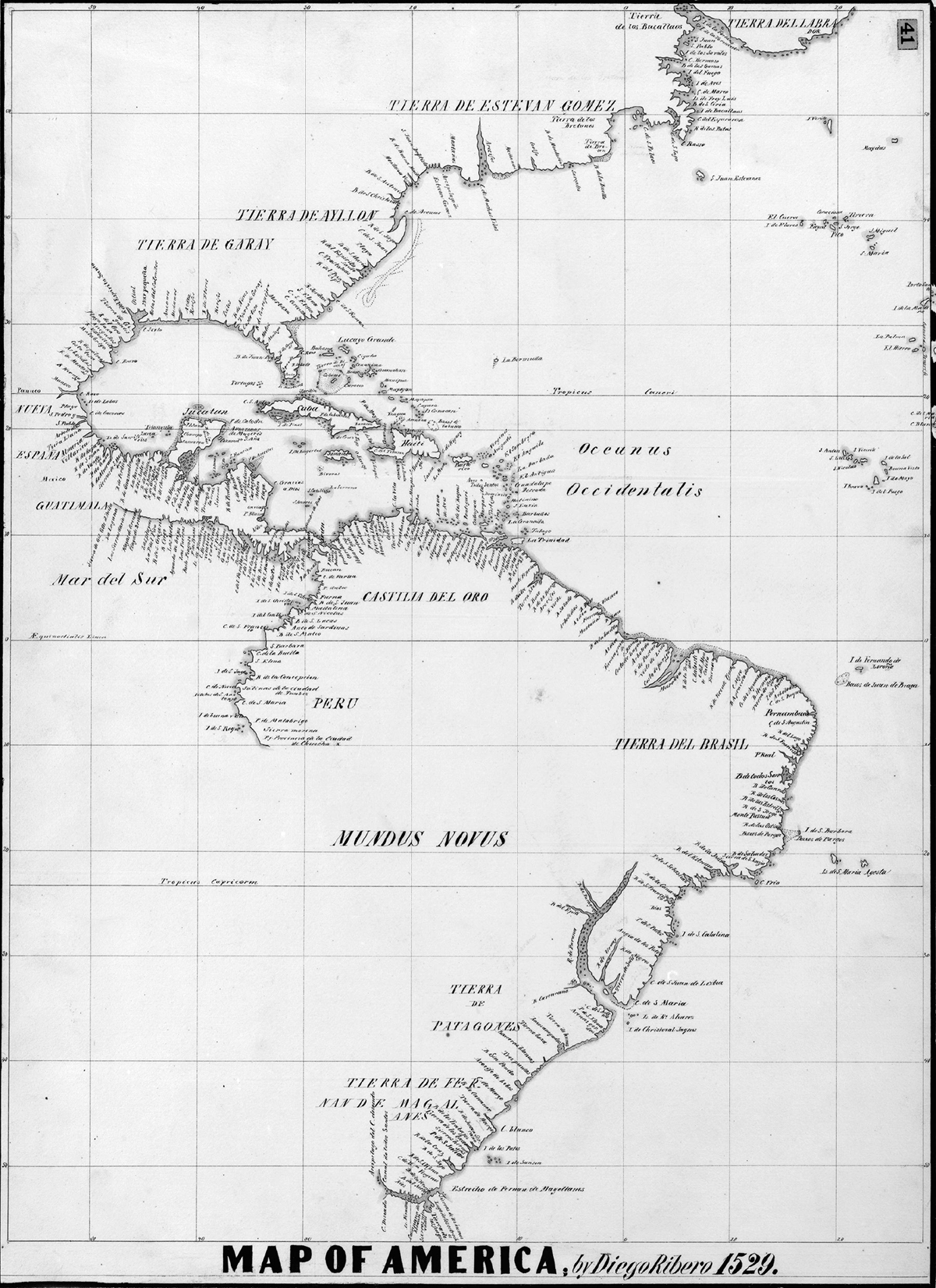 Early sixteenth-century map of the Americas by Diego Ribero. The map outlines the coastlines of North, Central, and South America with detailed place names in Spanish and Latin, including â€œTierra del Brasil,â€ â€œCastilla del Oro,â€ â€œPeru,â€ and â€œMundus Novus.â€ Large oceanic labels read â€œOceanus Occidentalisâ€ and â€œMar del Sur.â€ The map emphasizes exploration routes and coastal settlements rather than interior geography.