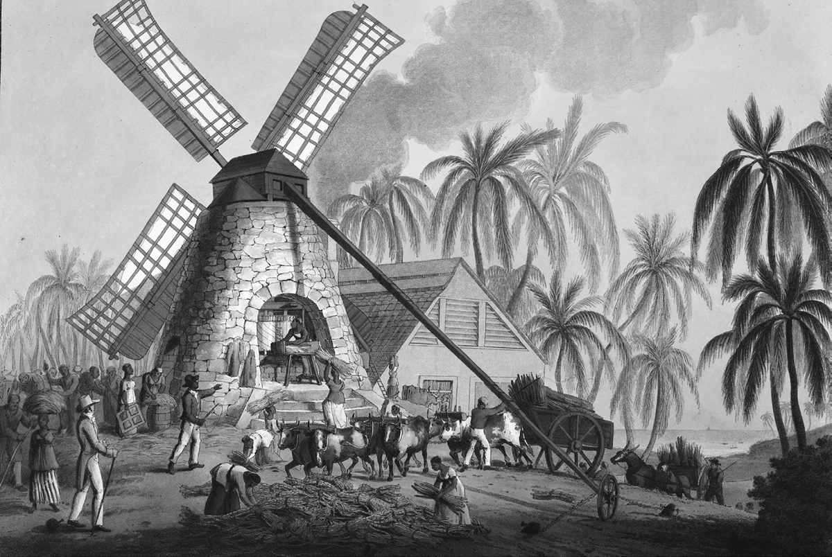 A colonial-era illustration by William Clark, The Mill Yard, depicts a sugar mill operation in a tropical setting with palm trees. The scene shows a stone windmill, workers, oxen pulling carts, and various figures engaged in sugar processing activities, representing Caribbean plantation agriculture.