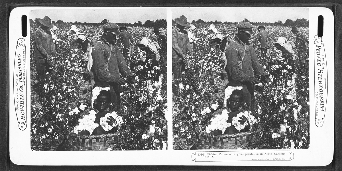 This photograph shows nine enslaved laborers of various ages and genders, picking cotton on a plantation in North Carolina.