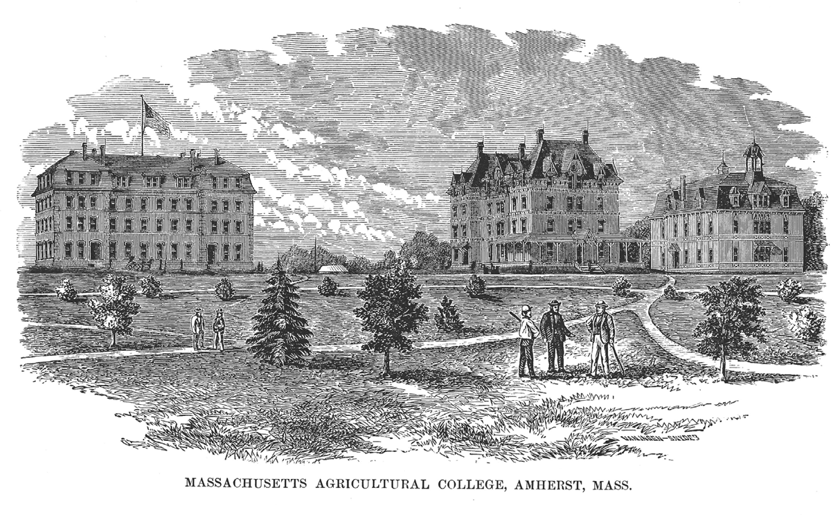 An 1880 illustration of three academic buildings at the Massachusetts Agricultural College, Amherst. Several men stand in a large open area with pathways and several small trees, all of which appear to exist to show the vast size of the multistory academic buildings in the background.