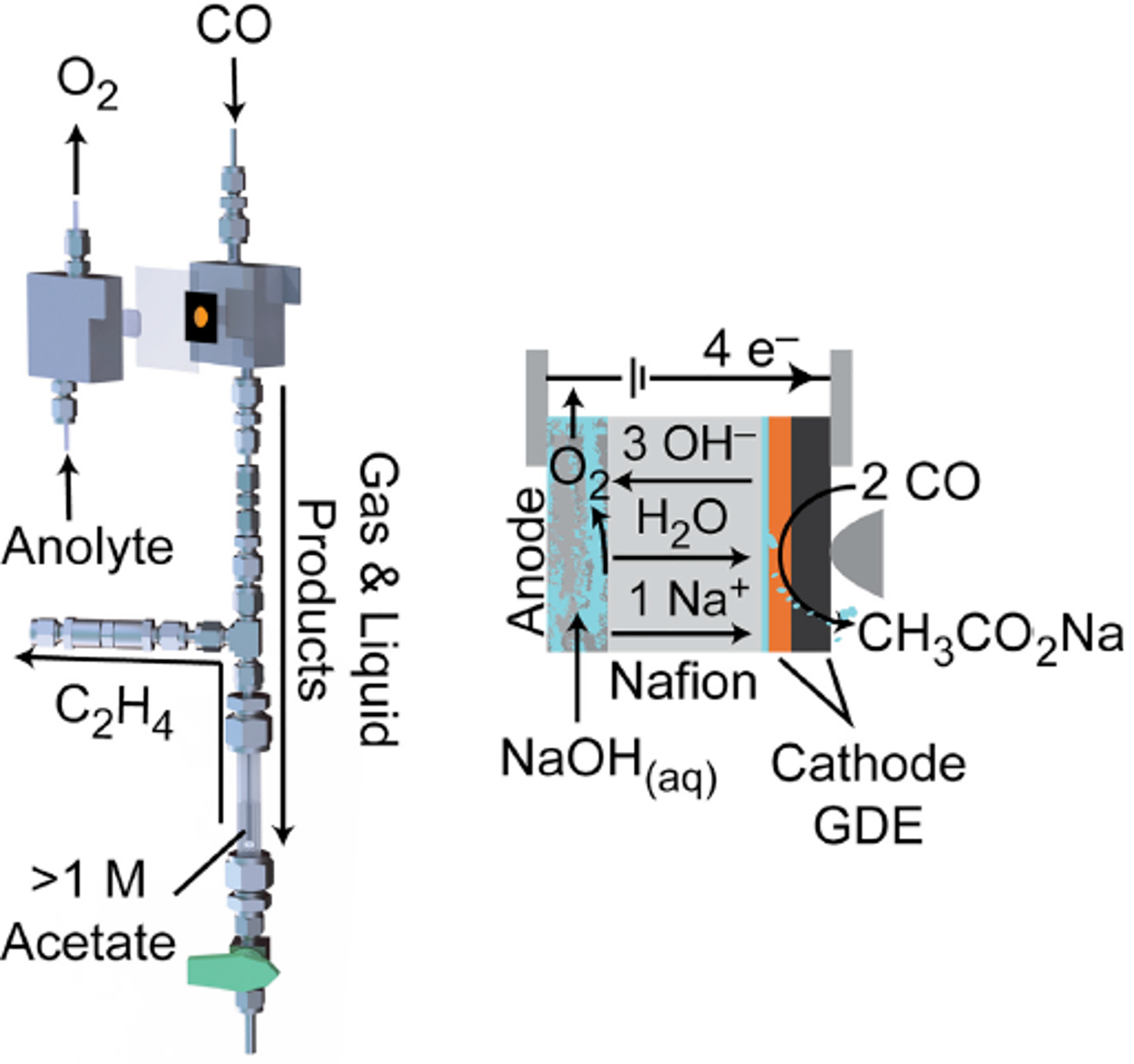 Electrolysis Cell for Generating Concentrated Liquid and Gas