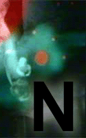 Uploaded Image