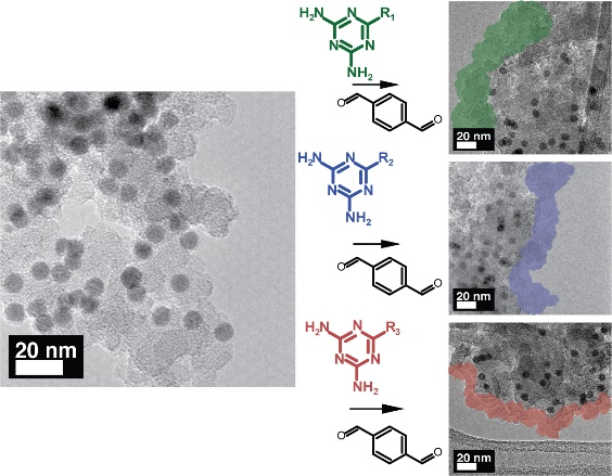 95. Chemically controllable porous polymer-nanocrystal composites with hierarchical arrangement show substrate transport selectivity