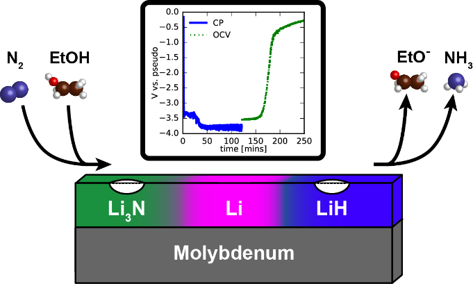 87. A Combined Theory-Experiment analysis of the Surface Species in Lithium-Mediated NH3 Electrosynthesis